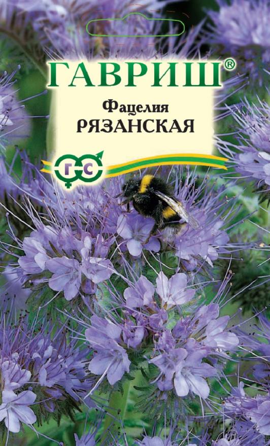 Фацелия Рязанская (сидерат) 20 г