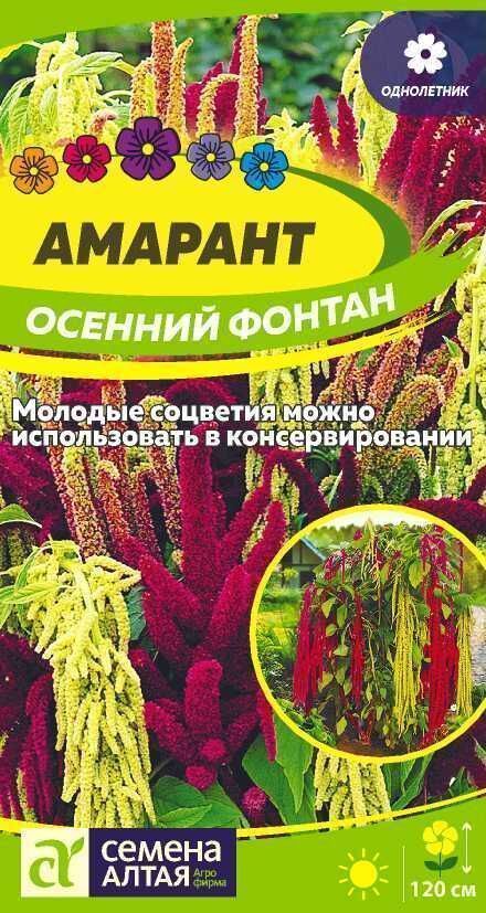 Амарант Осенний фонтан, смесь окрасок