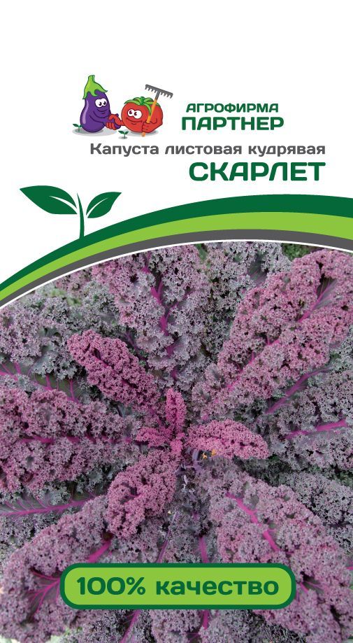 Капуста листовая кудрявая Скарлет, семена 0,3 г