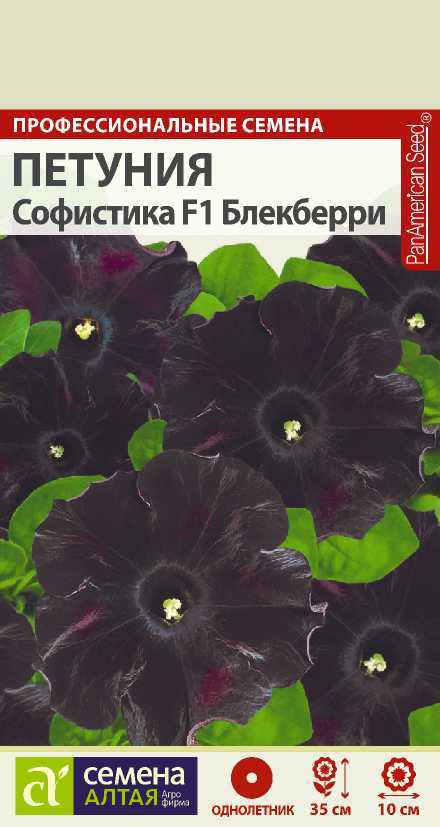 Петуния Софистика Блекберри F1, семена