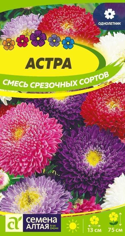 Астра Смесь срезочных сортов, смесь окрасок