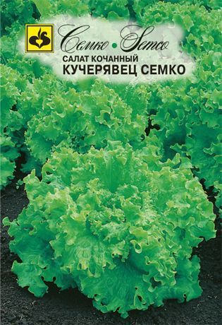 Салат полукочанный Кучерявец Семко, семена