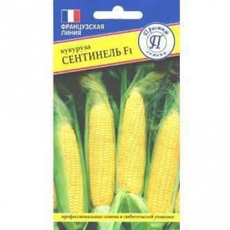 Кукуруза Сентинель F1, семена