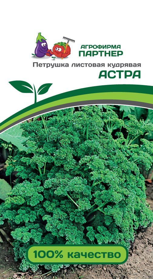 Петрушка кудрявая Астра, семена 3 г