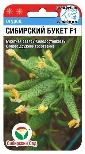 Огурец Сибирский букет F1, семена