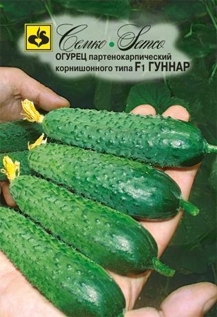 Огурец Гуннар F1, семена