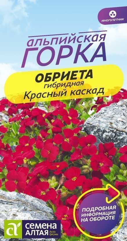 Обриета Красный каскад, семена