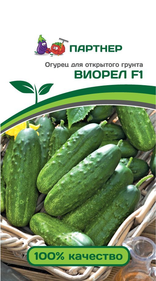 Огурец Виорел F1, семена 0,5 г