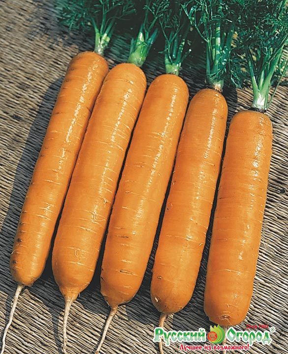 Морковь Флайвей F1, семена