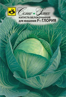 Капуста белокочанная Глория F1, семена