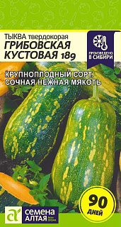 Тыква кустовая Грибовская 189, семена