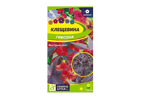 Клещевина Гибсона, семена