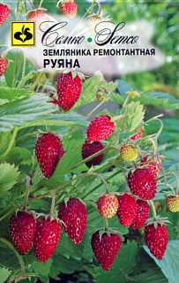 Клубника ремонтантная Руяна, семена