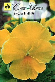 Виола Нина, семена