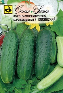 Огурец Косинский, семена