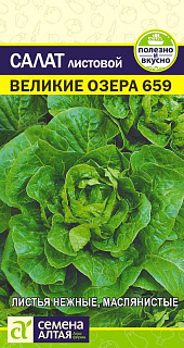 Салат листовой Великие озера-659, семена