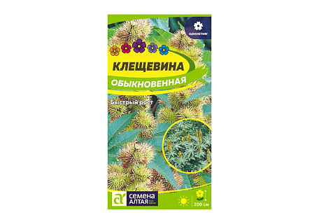 Клещевина Обыкновенная, семена