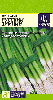 Лук батун Русский зимний, семена