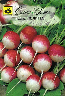 Редис Политез, семена