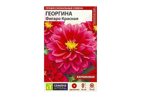 Георгина Фигаро Красная, семена